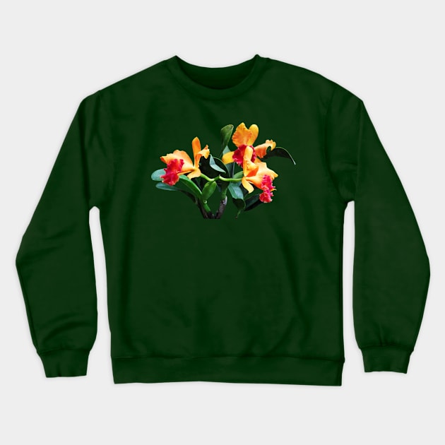 Orchids Cat Garden The Shah Crewneck Sweatshirt by SusanSavad